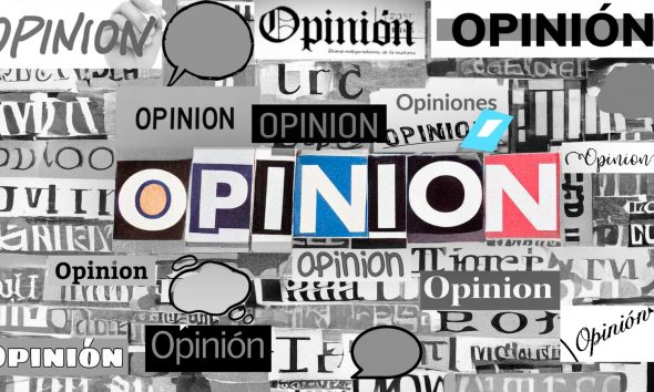 Opinion Senado
