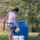 Ningún gobernante pudo resolver la falta de agua potable en Nemesio Parma