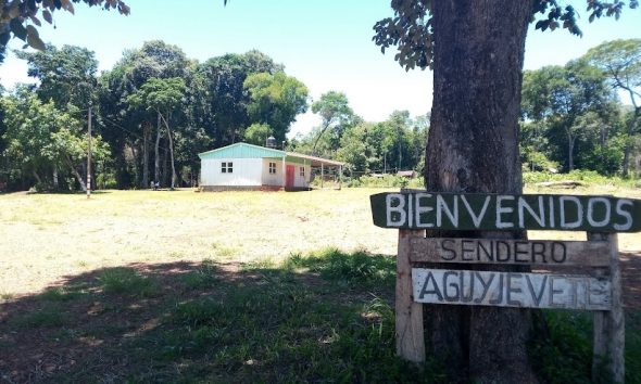 comunidades mbya