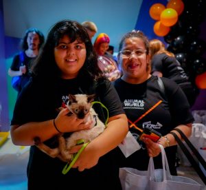 Cine, mascotas y amor: una nueva experiencia de la mano de Animal World