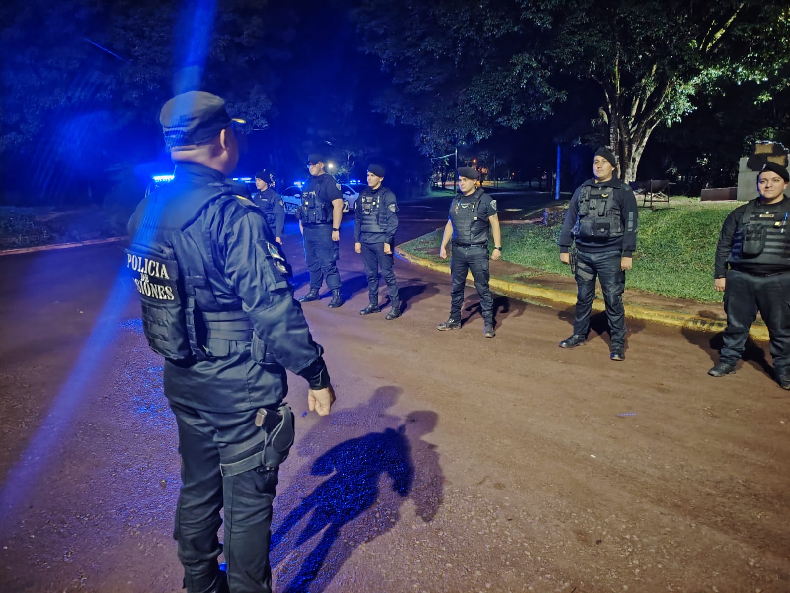 policiales