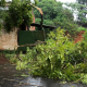 Posadas: juntaron ramas que dejó la tormenta y la Muni los multó por “poda”