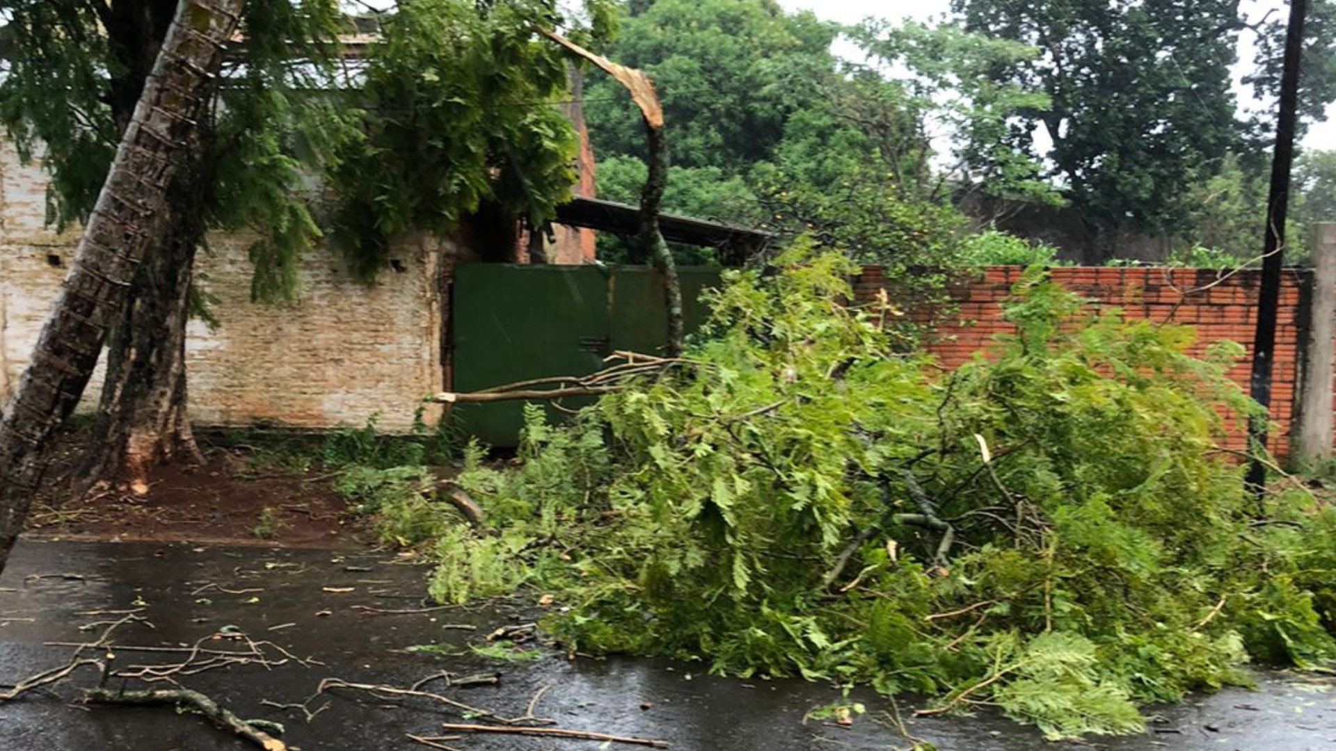 Posadas: juntaron ramas que dejó la tormenta y la Muni los multó por “poda”