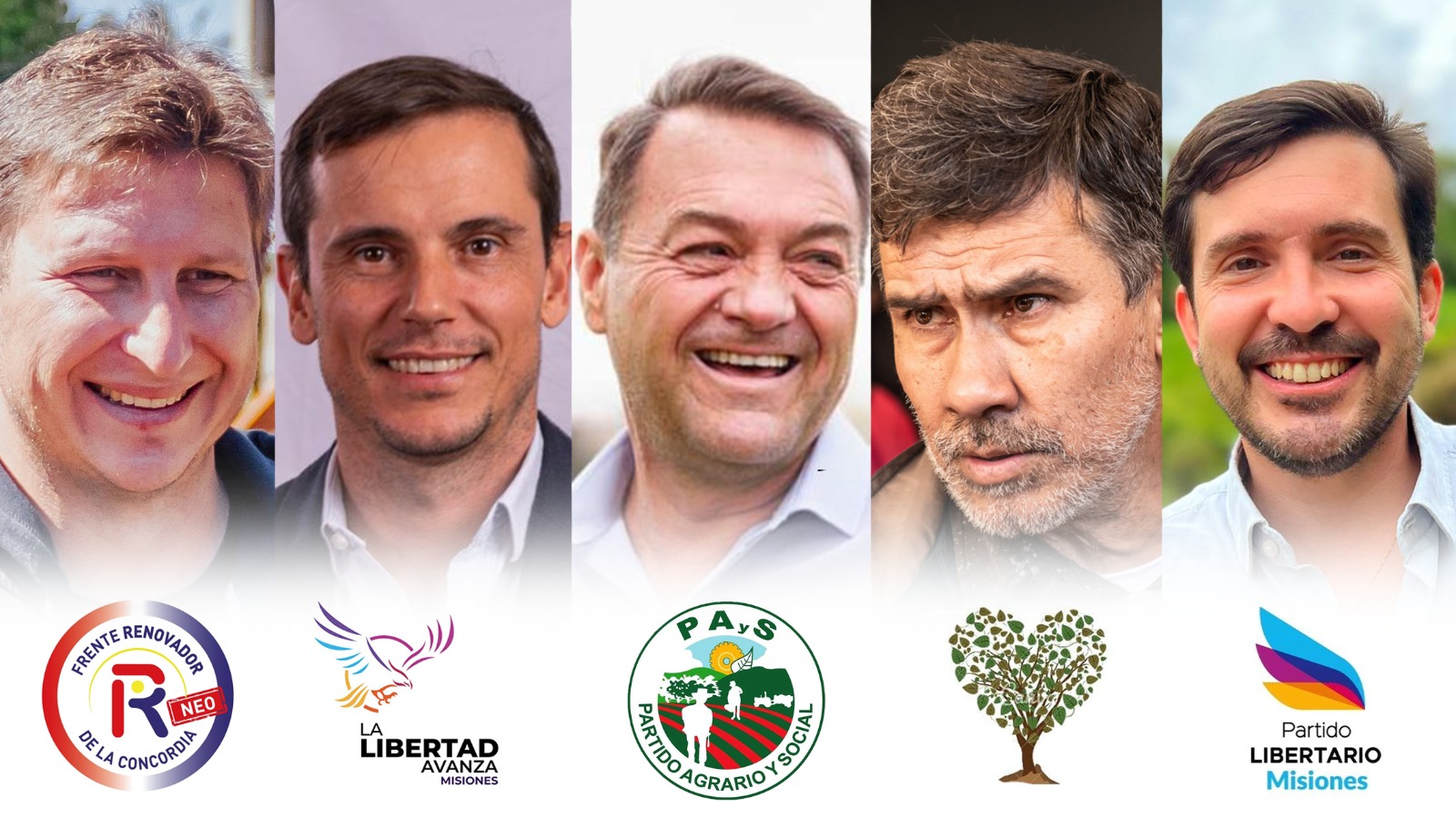Renovador Neo