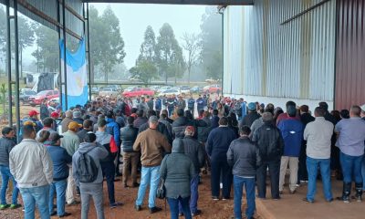 Productores impulsarán proyecto para crear un instituto yerbatero provincial