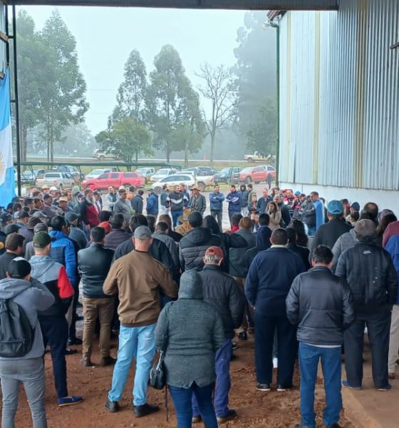 Productores impulsarán proyecto para crear un instituto yerbatero provincial