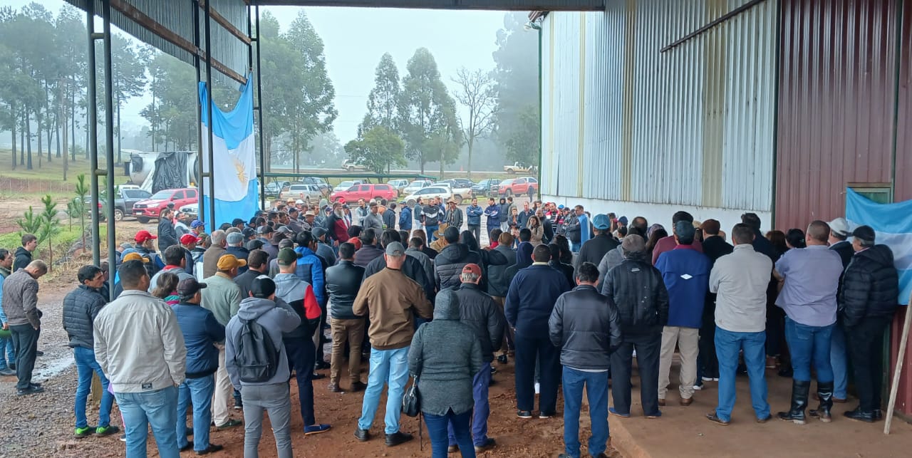 Productores impulsarán proyecto para crear un instituto yerbatero provincial