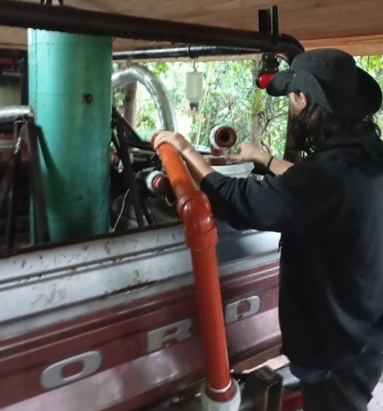 auto a basura