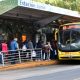 Pasajes gratis para ir a votar el domingo en Misiones
