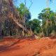 Kartódromo de Iguazú anulado por “impactos ambientales irreversibles"
