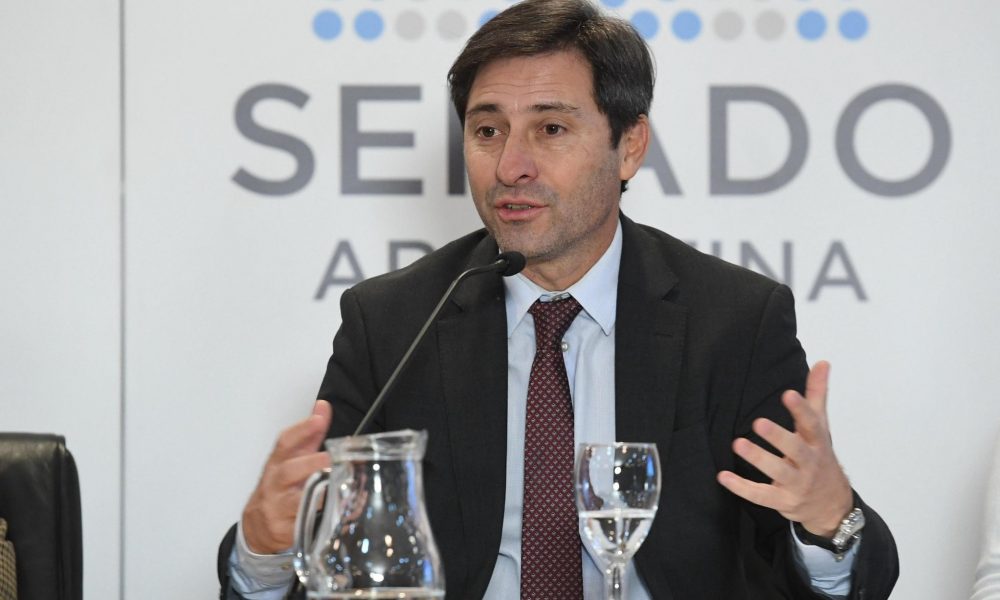 Goerling y su ausencia en votación de jubilaciones y discapacidad: “Fue ilegal” imagen-6