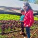 Familias productoras de Roca se sostienen construyendo soberanía alimentaria