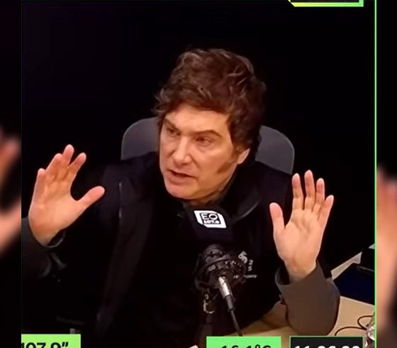 Milei gobernadores