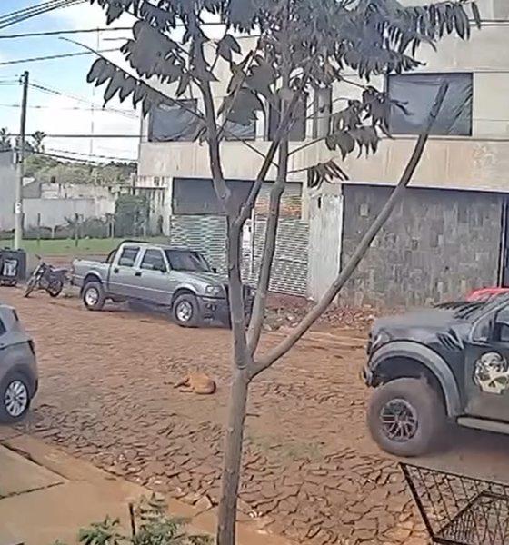 4x4