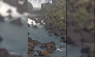 yaguareté cataratas
