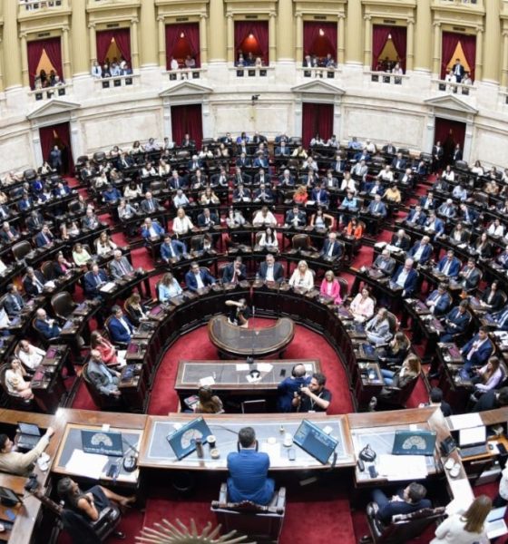 diputados