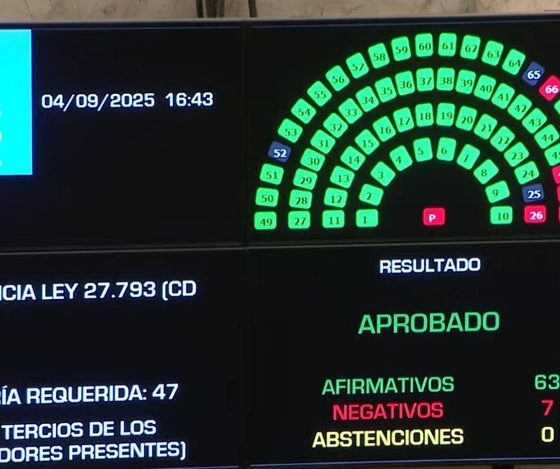 discapacidad