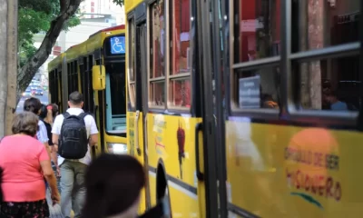 El transporte público será gratuito el domingo de elecciones