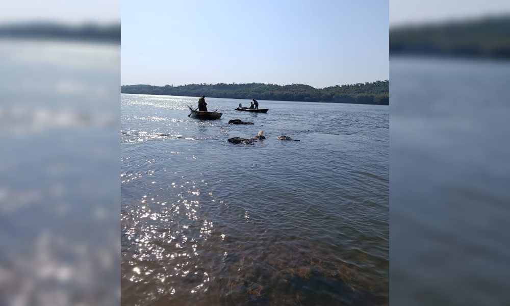 Buscan a joven que desapareció en el río Paraná en Capioví imagen-6