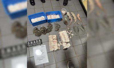 maltrato animal