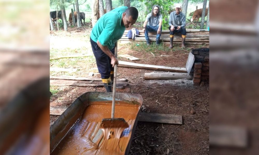 Alba Posse: chacra multi productiva mantiene la tradición de elaborar melado
