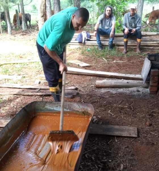 Alba Posse: chacra multi productiva mantiene la tradición de elaborar melado