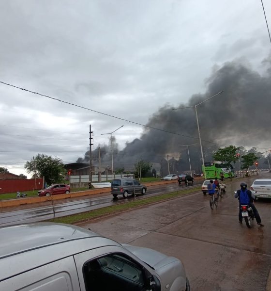 frigorífico fátima