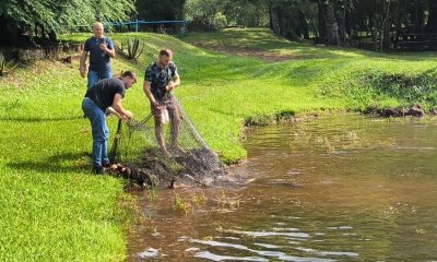 Piscicultura, turismo y producción: apoyo clave para reglamentar la Ley de Faena Artesanal