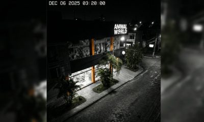 Entraron de madrugada a una conocida tienda de mascotas y se llevaron todo