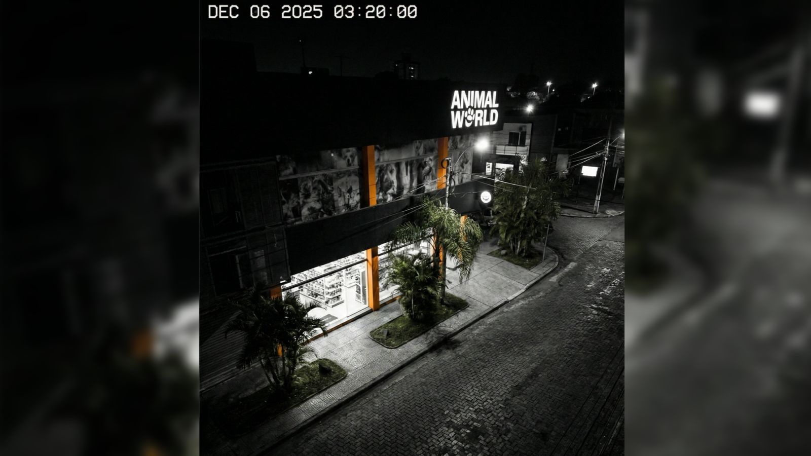 Entraron de madrugada a una conocida tienda de mascotas y se llevaron todo