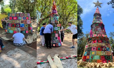 El árbol navideño tejido por adultos mayores que emociona a Montecarlo