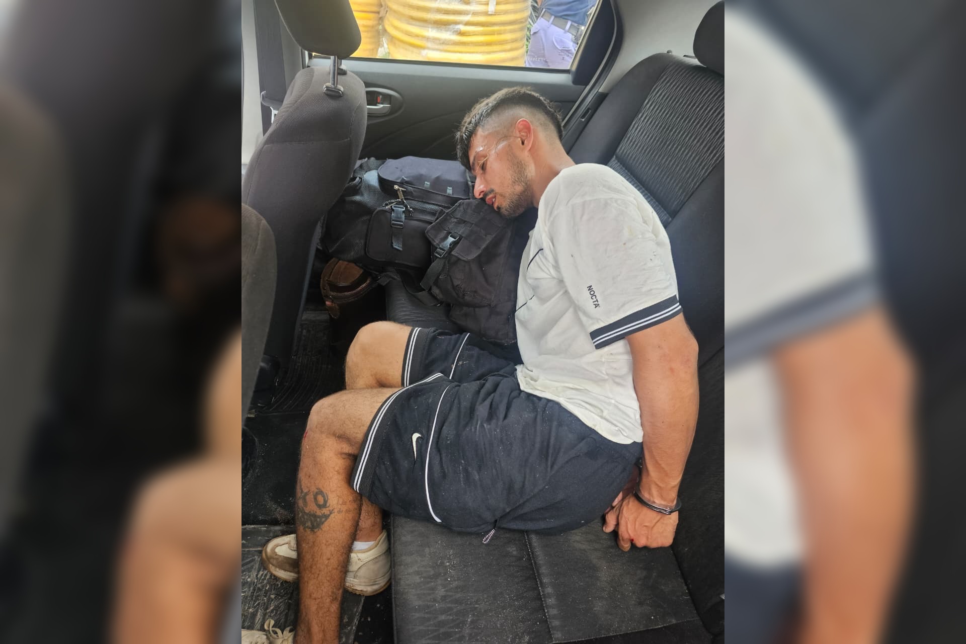 misionero cocaína delfín