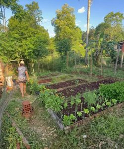 Puerto Leoni: productora recató 23 variedades de tomates reliquia y produce semillas