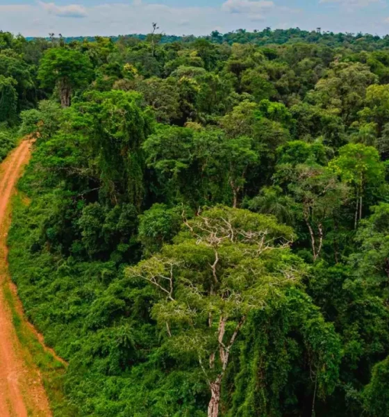 Iguazú tierras extranjeras