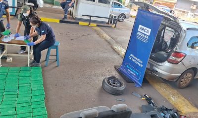 migraciones irigoyen