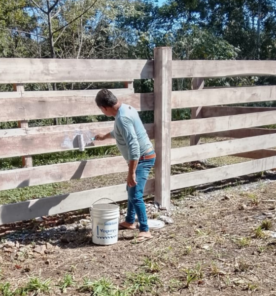 Asociación busca financiamiento para sala de faena en matadero de El Soberbio