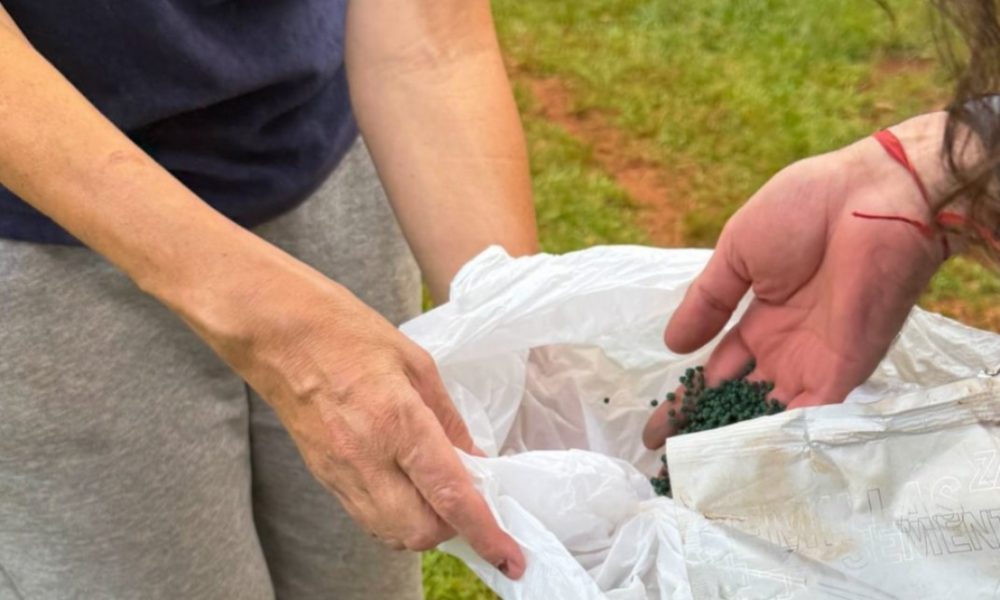 Red de Semillas, la esperanza en movimiento desde el territorio misionero