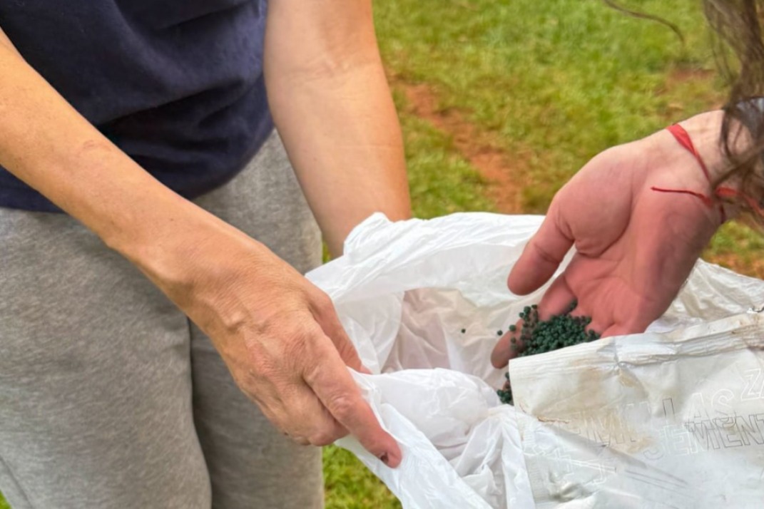 Red de Semillas, la esperanza en movimiento desde el territorio misionero