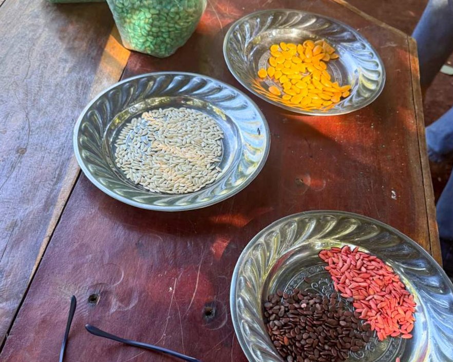 Red de Semillas, la esperanza en movimiento desde el territorio misionero imagen-12