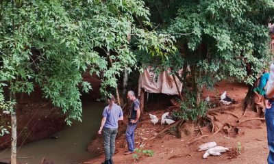 Denuncian contaminación en un arroyo del Tabay por mortandad de aves