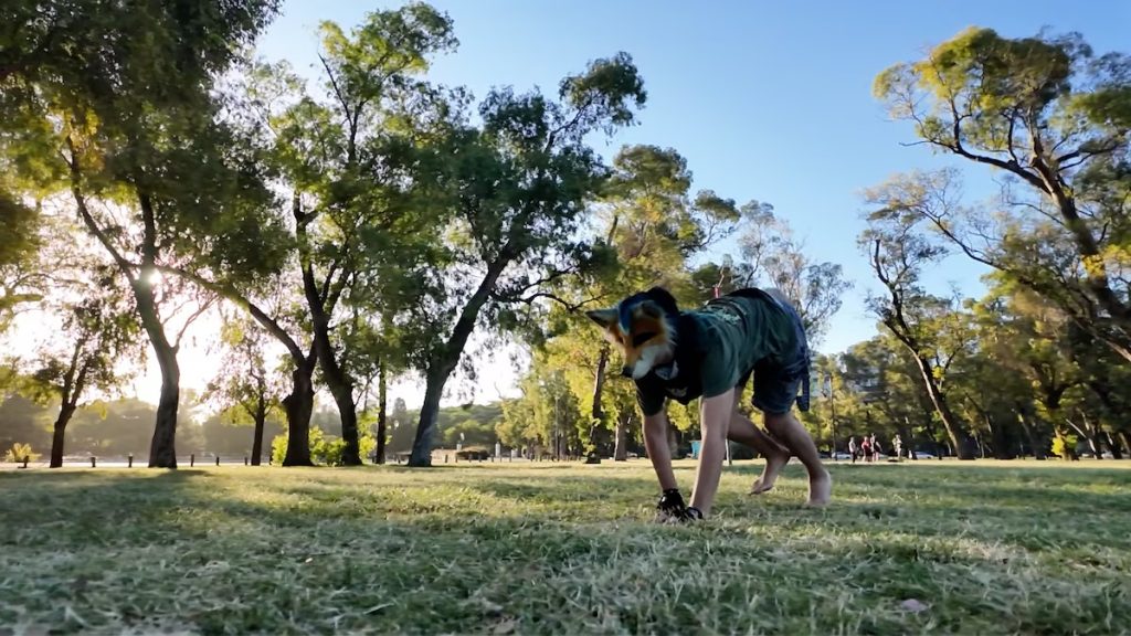 Los therians se juntan en Posadas: se identifican como un "animal no humano"