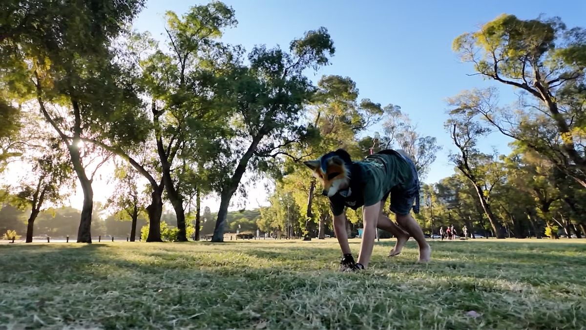 Los therians se juntan en Posadas: se identifican como un "animal no humano"