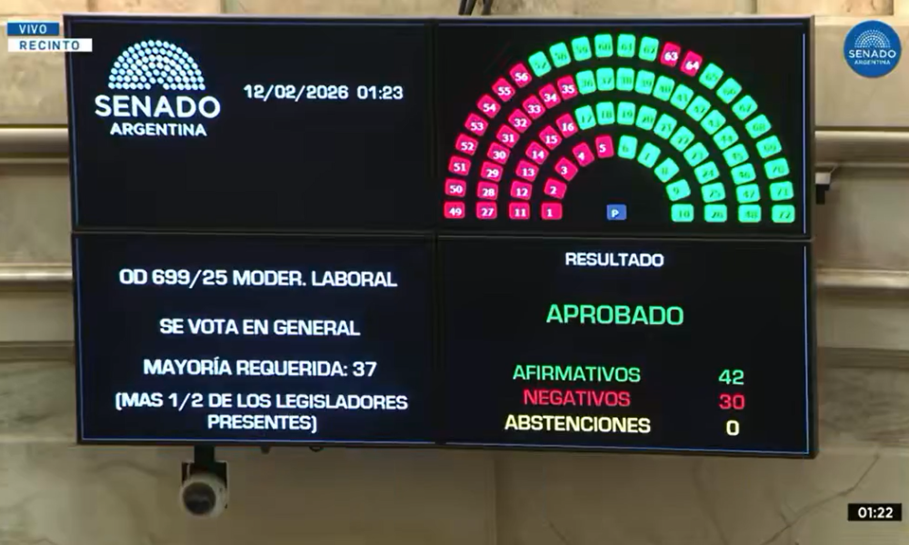 Reforma laboral: media sanción con los votos de Rojas Decut, Arce y Goerling imagen-5