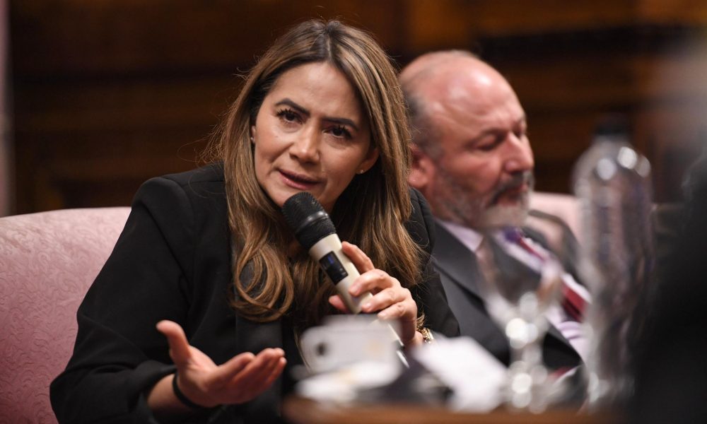 Rojas Decut sobre el discurso de Milei: “Hay que respetar la investidura” imagen-6