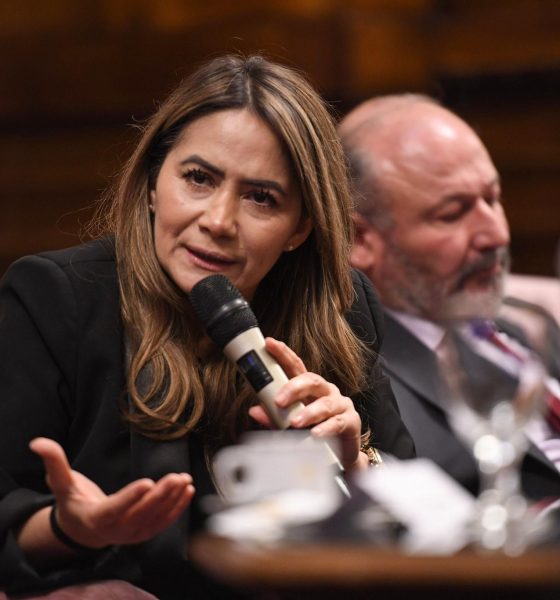 Sonia Rojas Decut Milei