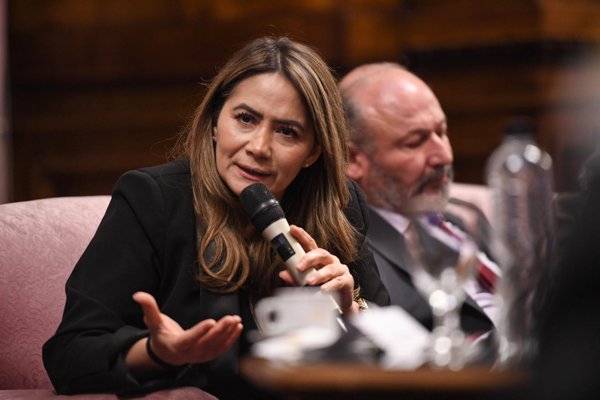 Sonia Rojas Decut Milei