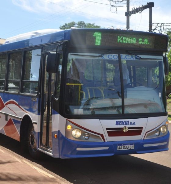 Empresa Kenia obtuvo la concesión de colectivos por 15 años en Eldorado