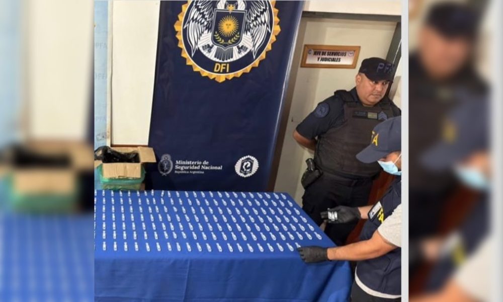 Incautan 300 ampollas de fentanilo en un monte de Puerto Esperanza imagen-6