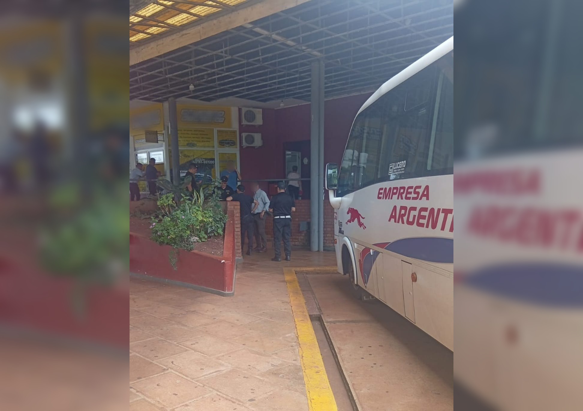 Chofer colectivo montecarlo