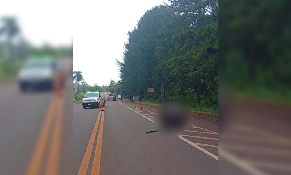 montecarlo motociclista